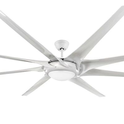 Máy quạt công nghiệp 100in Máy quạt lớn