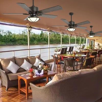 Plywood Blades Ventilator trần chống nước với Ventilator chống thời tiết nhẹ