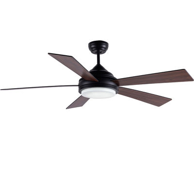 Động cơ DC 52In LED hiện đại