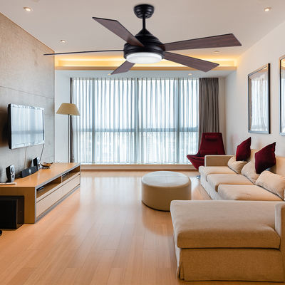 Động cơ DC 52In LED hiện đại