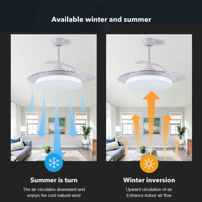 3 màu sắc điều chỉnh đèn lồng quạt trần đèn 36 inch điều khiển từ xa quạt trần vô hình với ánh sáng